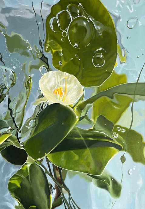Lichtgele bloem en groene bladeren tegen een blauwe lucht met waterdruppels.