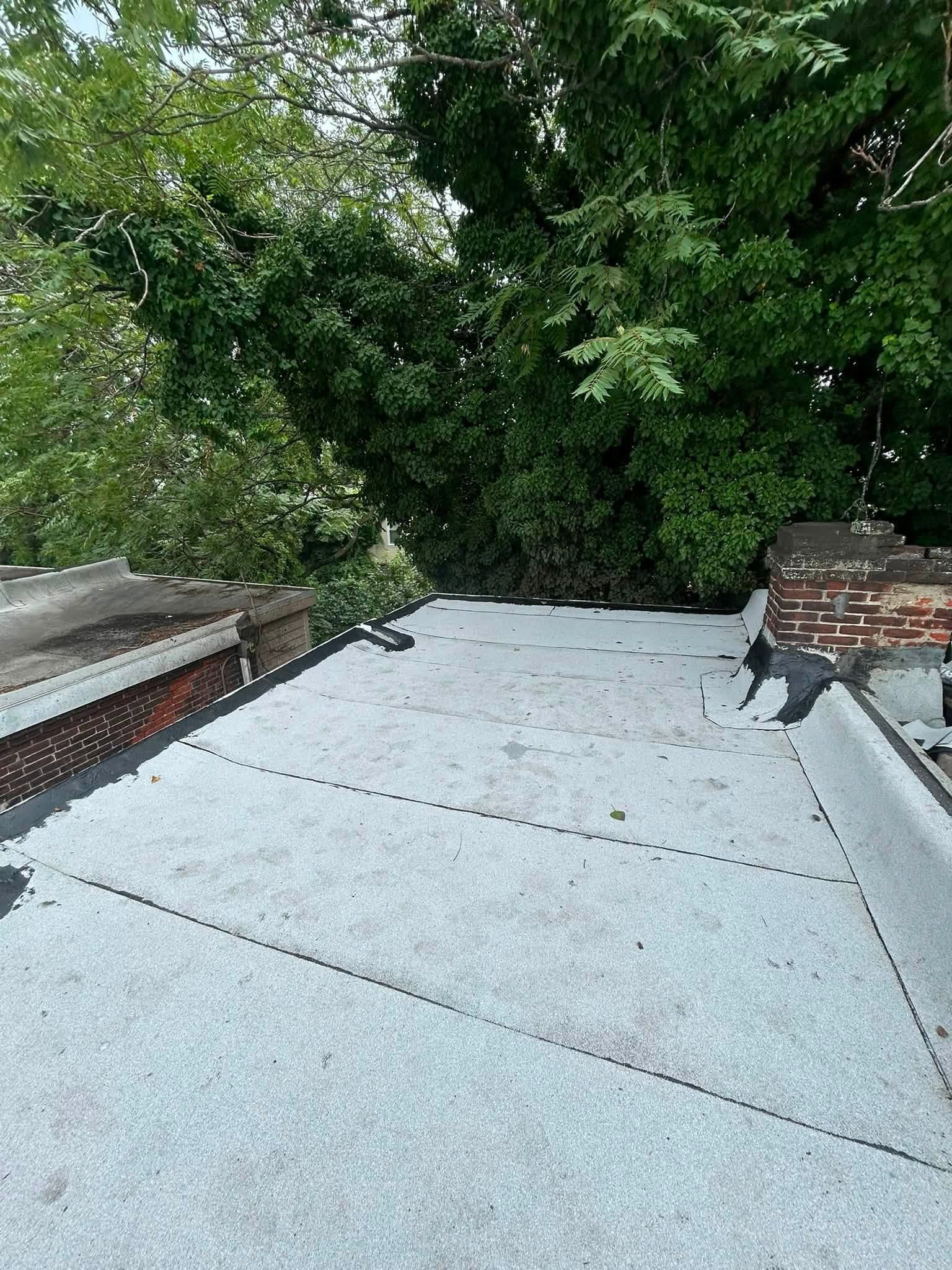 Flat rooftop with a white membrane, brick edges, and dense green trees beyond.