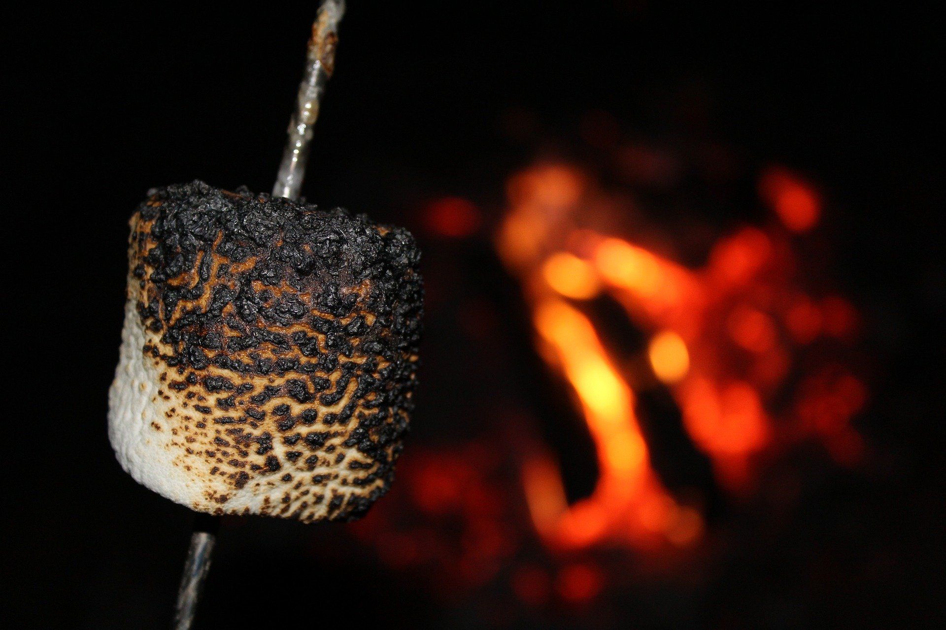 Toasted marshmallow on a stick with a dark, charred exterior against a blurry campfire.