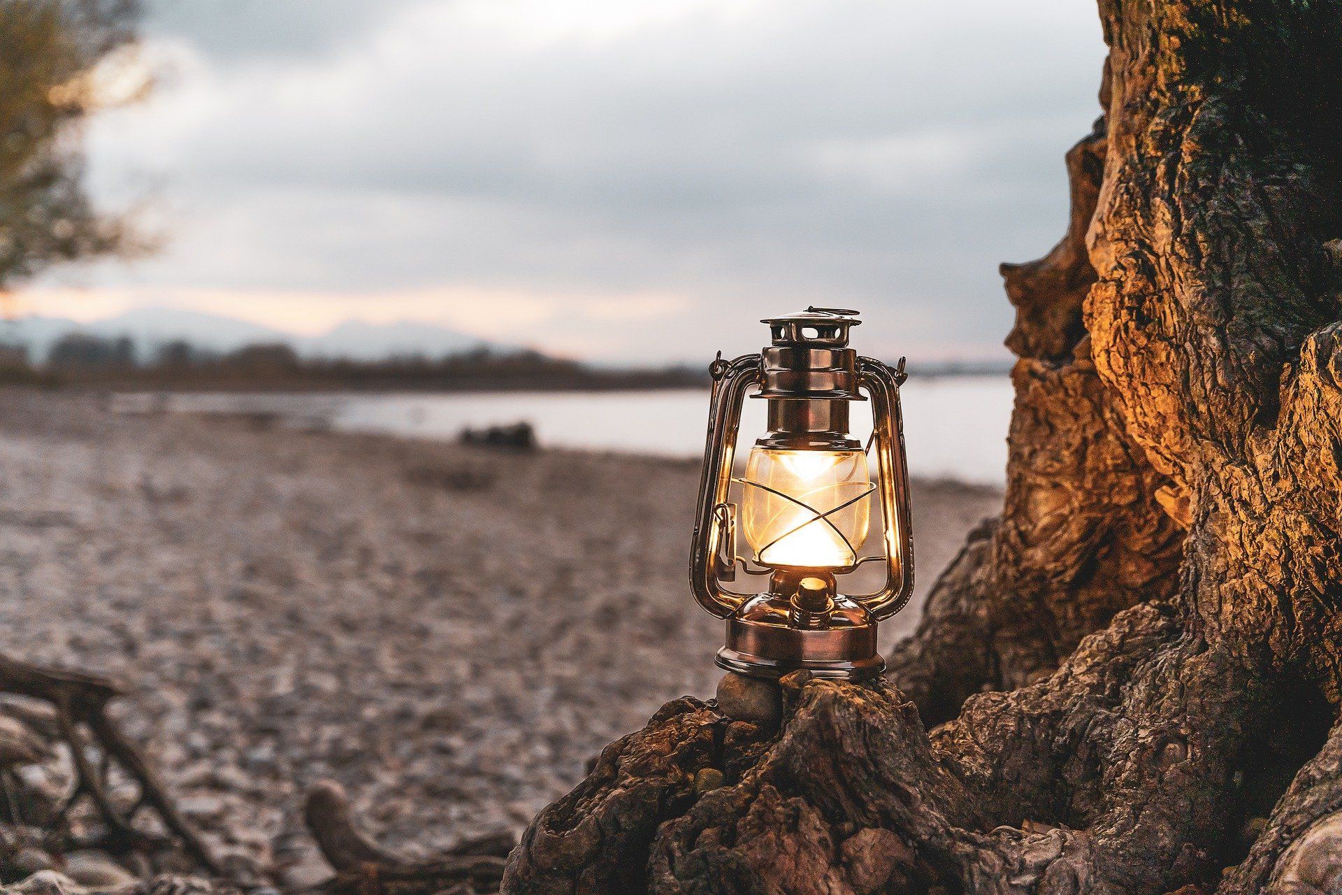 Lantern on a tree root at a beach, glowing at dusk with a blurred background of the water and sky.