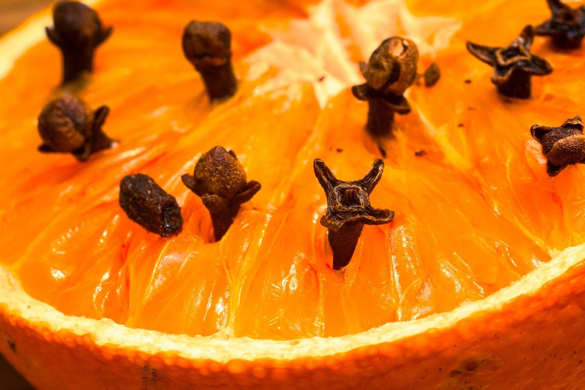 Orange slice studded with dark brown cloves.