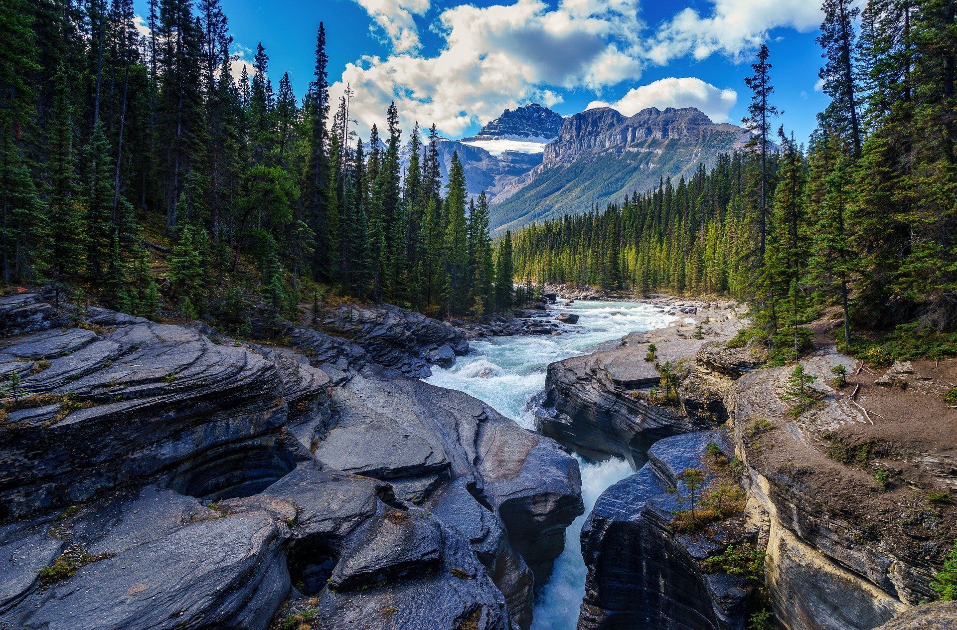 A river flows through a rocky canyon surrounded by evergreen trees and mountains under a blue sky.