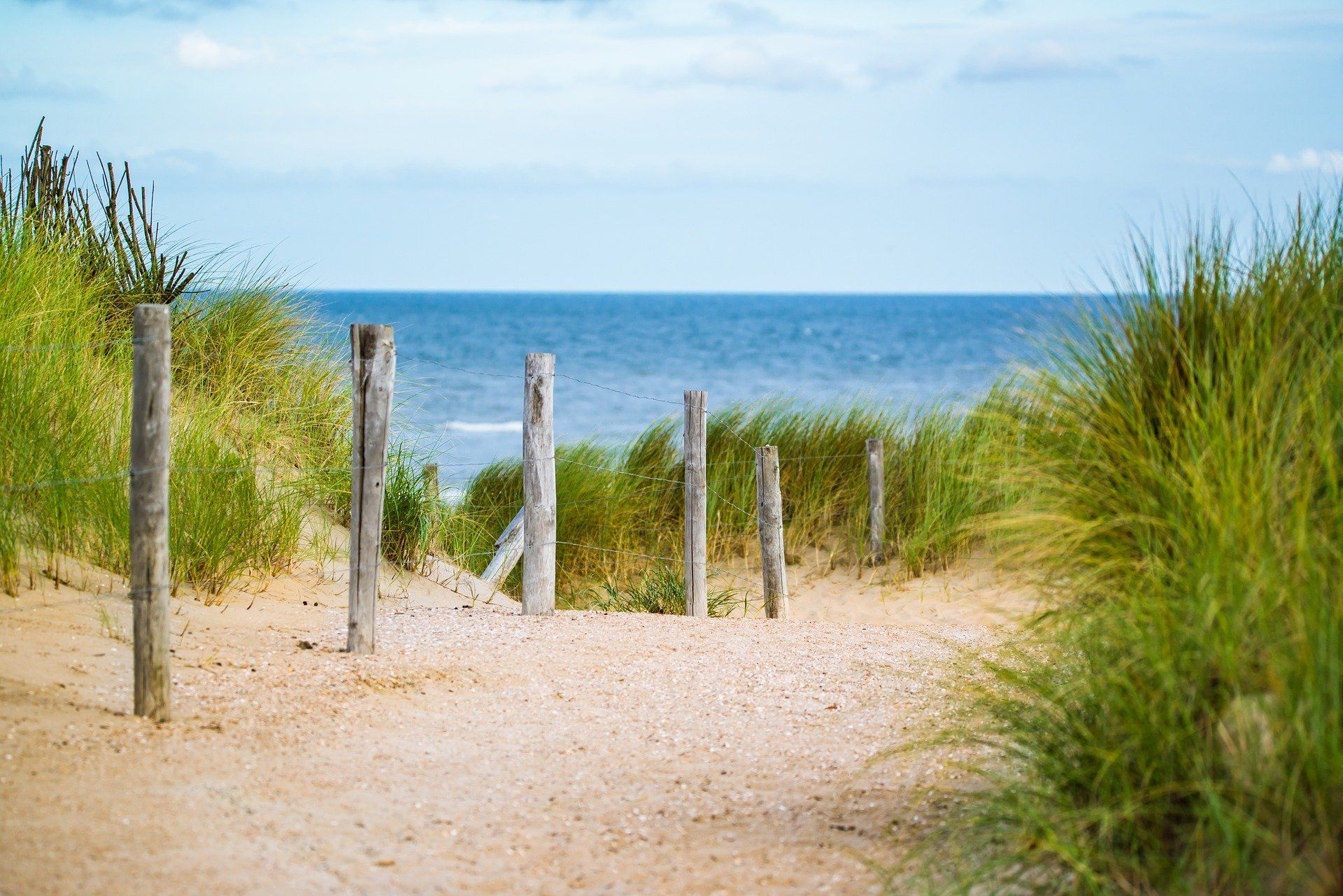 Sandy path through dunes, leading to ocean view. Blue sky, wooden posts, green grass.