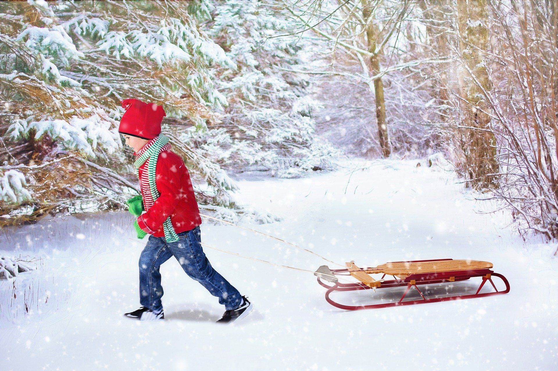 Child pulls a sled through a snowy forest, wearing a red coat and hat.