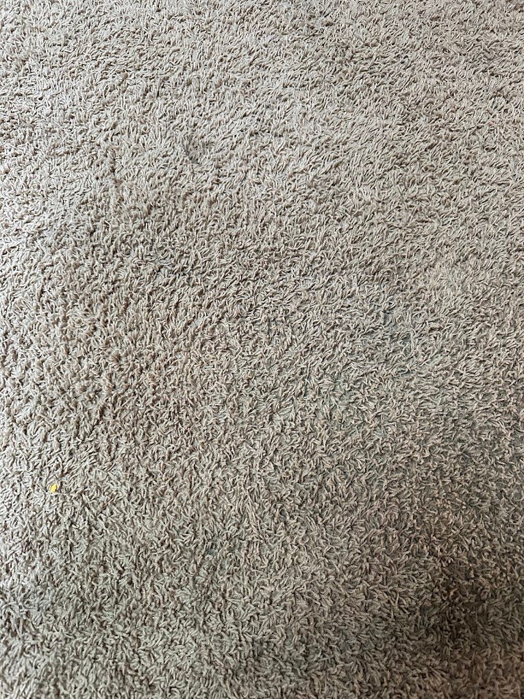 Close-up of a light gray carpet with a small dark stain in the lower right corner