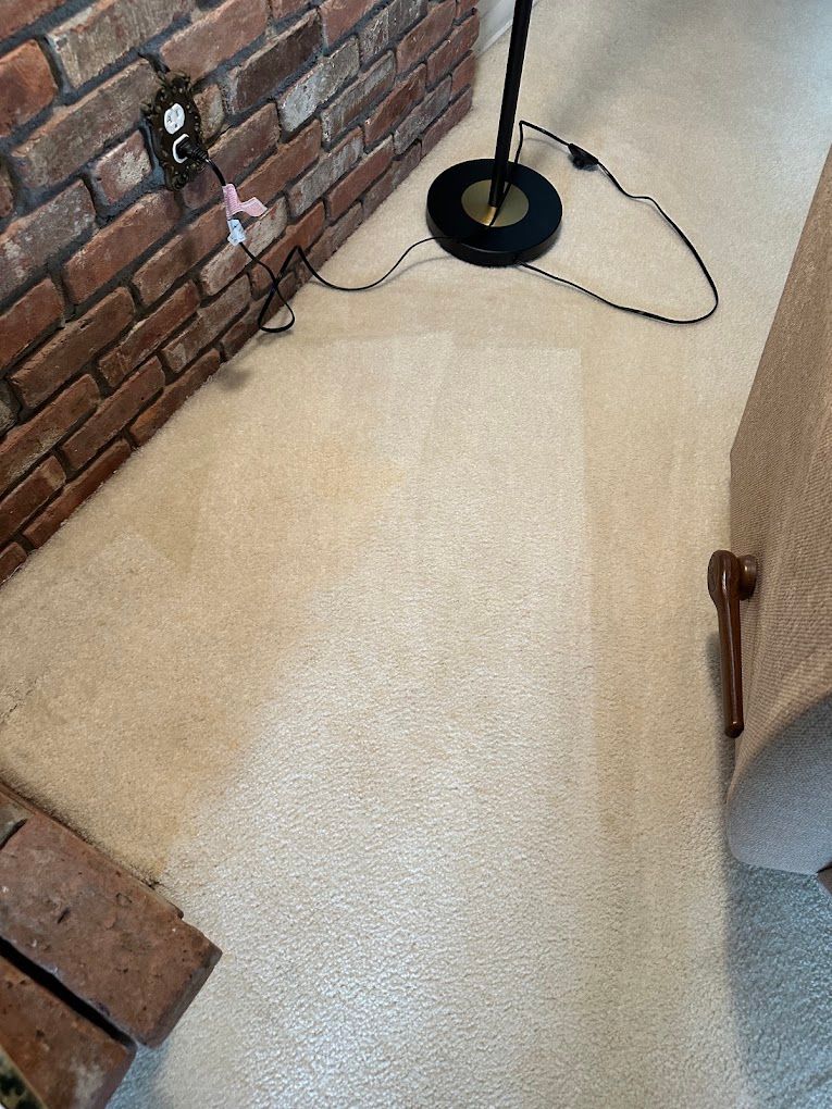 Carpeted floor beside a brick wall, with a black lamp and power cord in the corner.