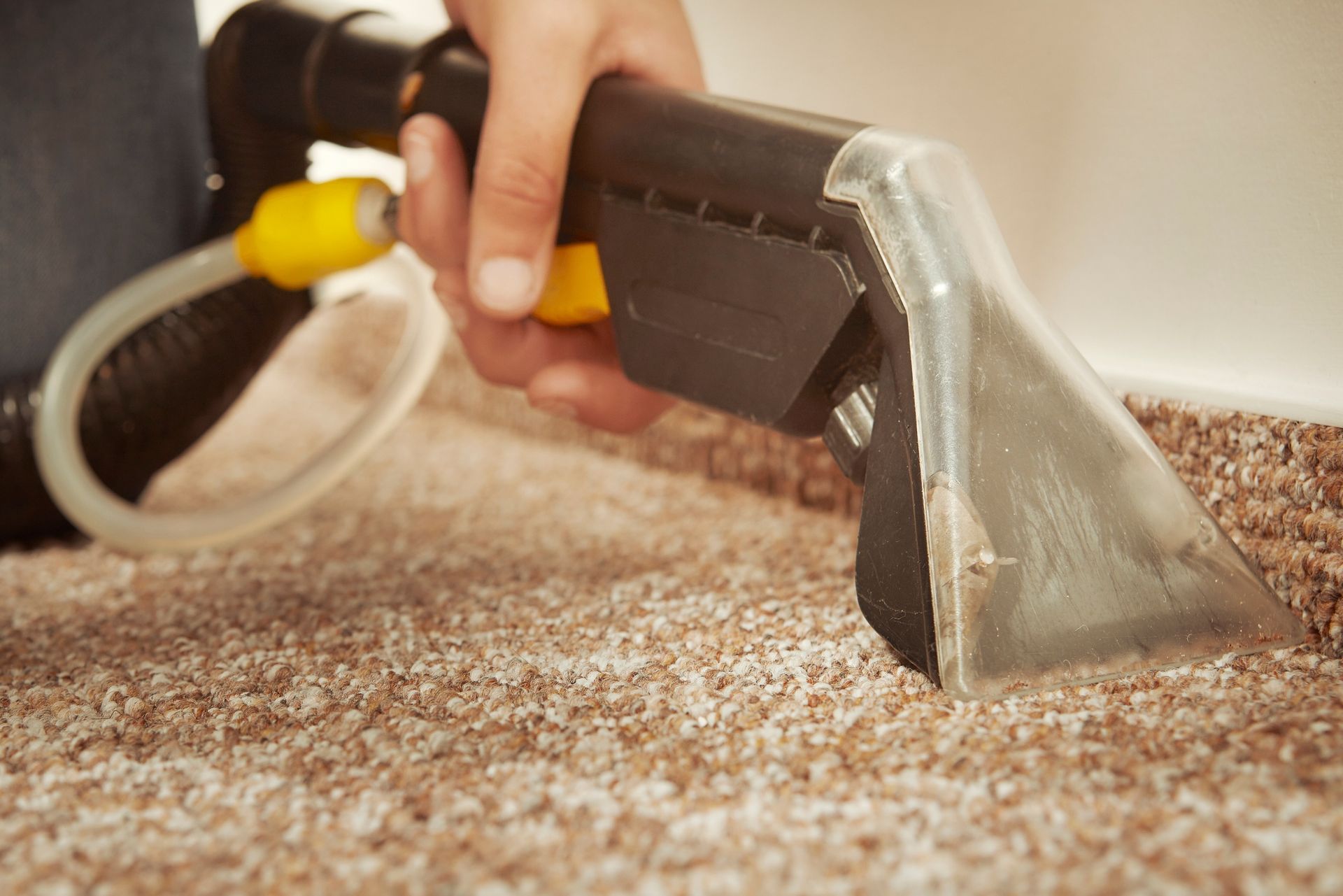 Handheld carpet cleaner suctioning beige carpet close-up