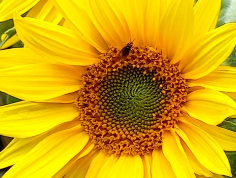 self compassion, kindness, hope