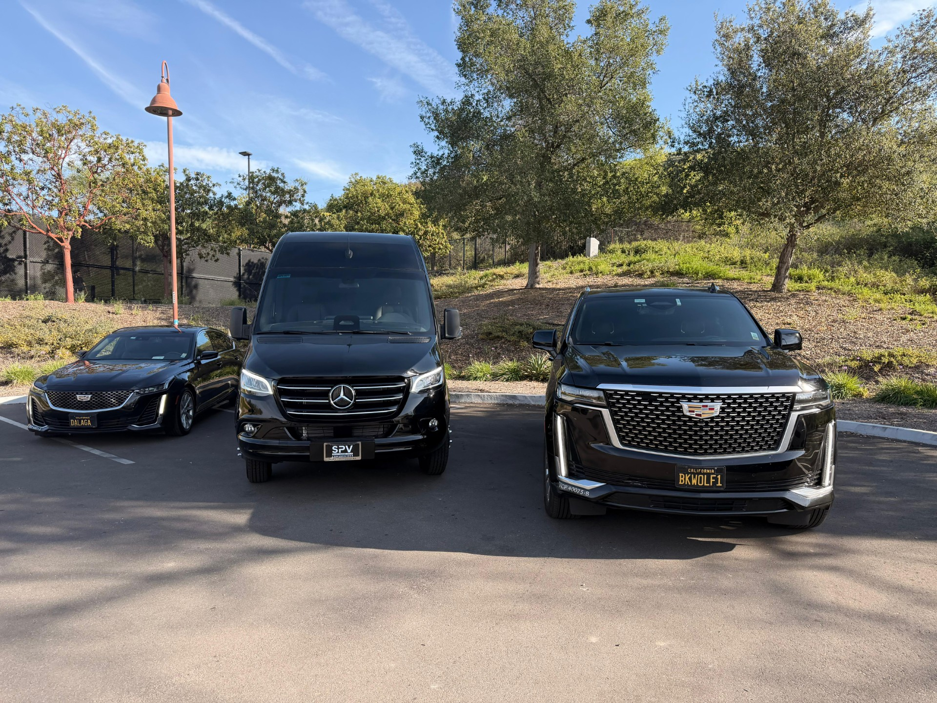 Three black Mercedes vehicles parked outdoors on a sunny day, including a sedan and two vans.