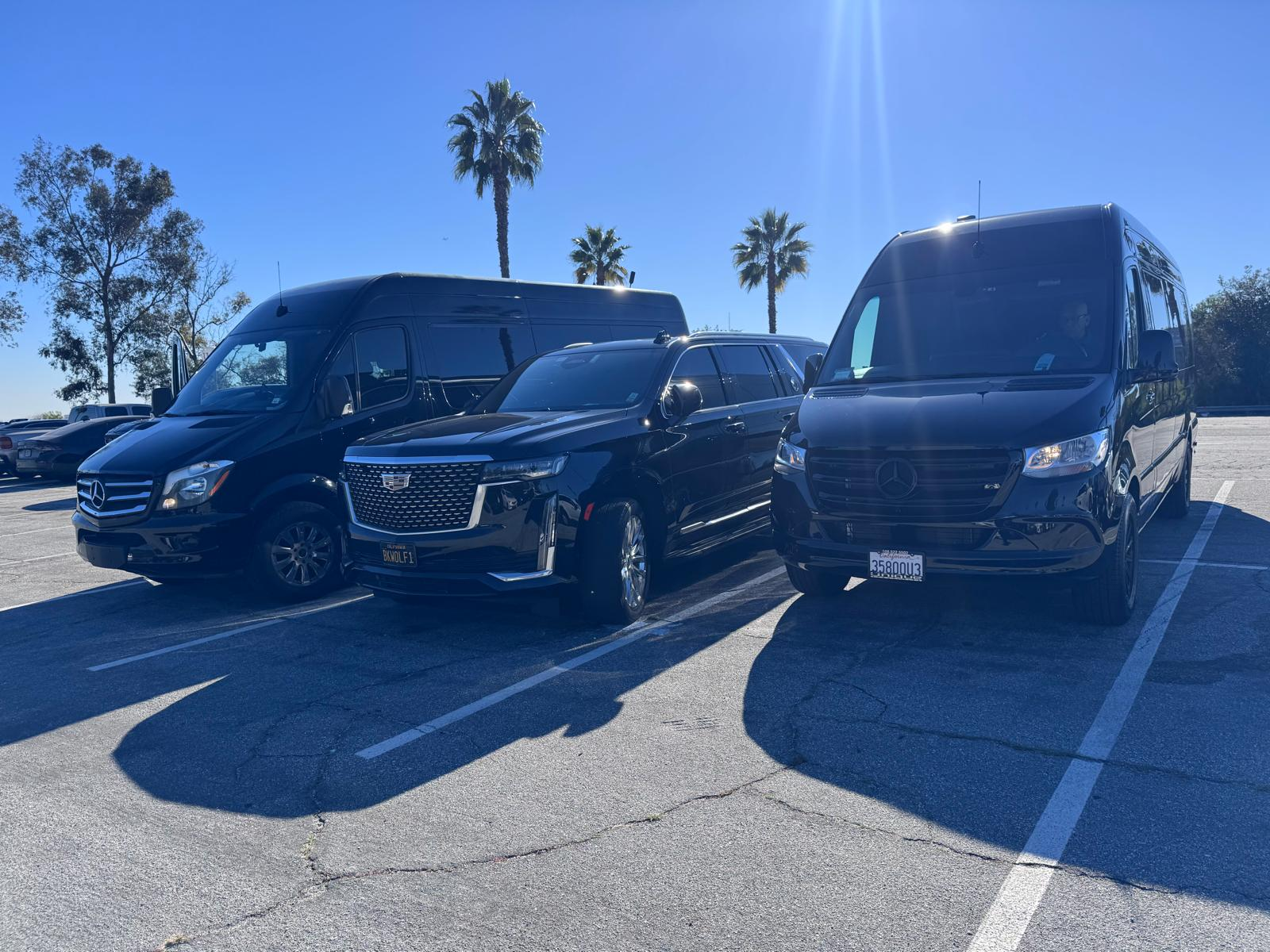 Three black vans parked side by side in a sunny parking lot with palm trees in the background
