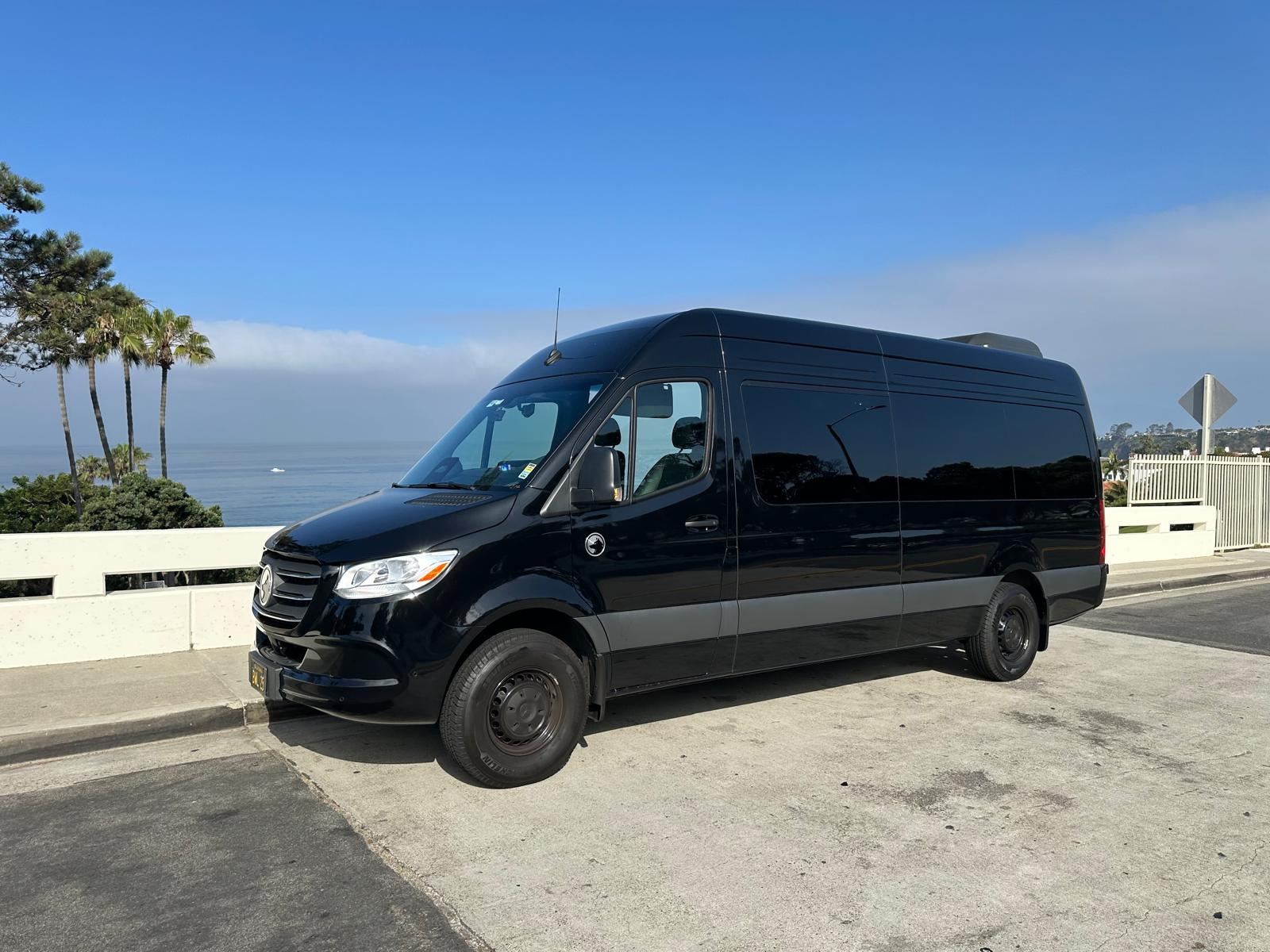 Black passenger van parked on a coastal road with ocean and palm trees in the background