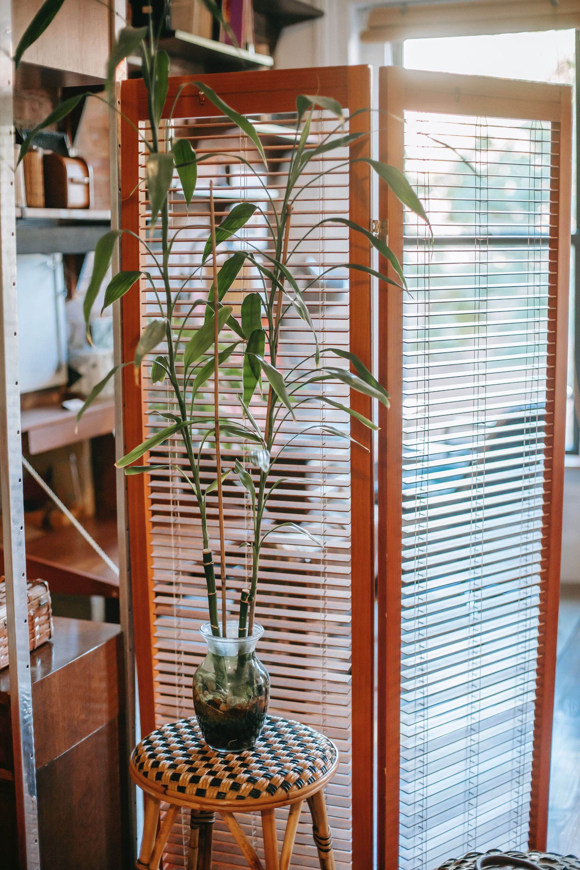 window shutters that are now being used as a room divider