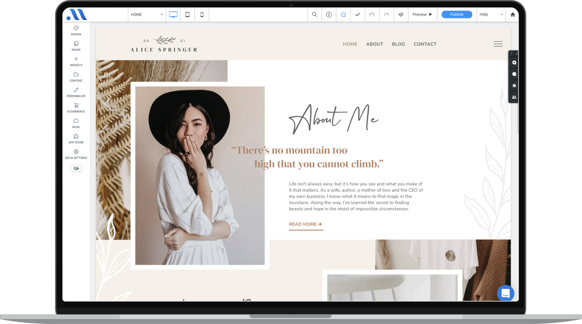 Alice Springer website template on desktop