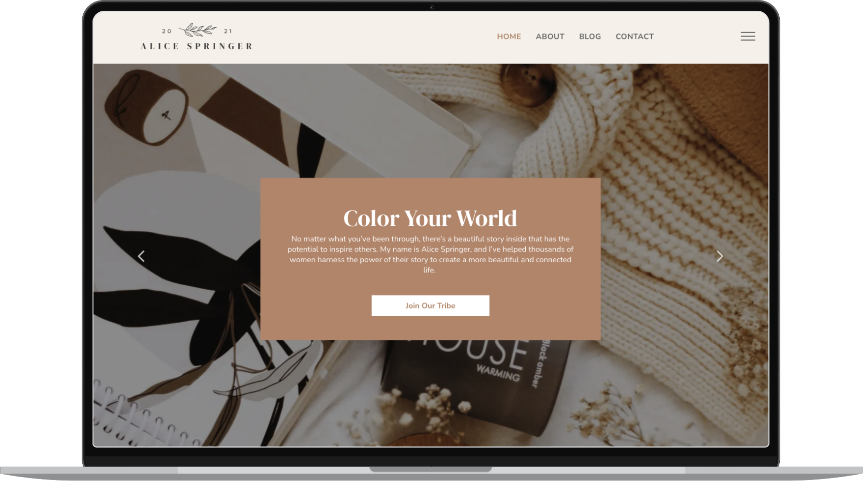 Alice Springer website template displayed on desktop