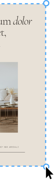 website template card