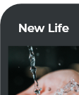 website template card that says new life