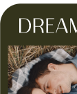 website template card that says Home