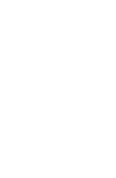 Maisey's store interface display