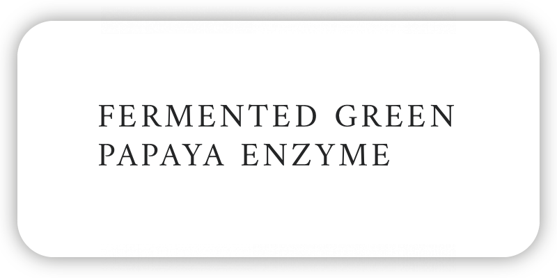 Toneko - Fermented Green Papaya Enzyme (FGPE)