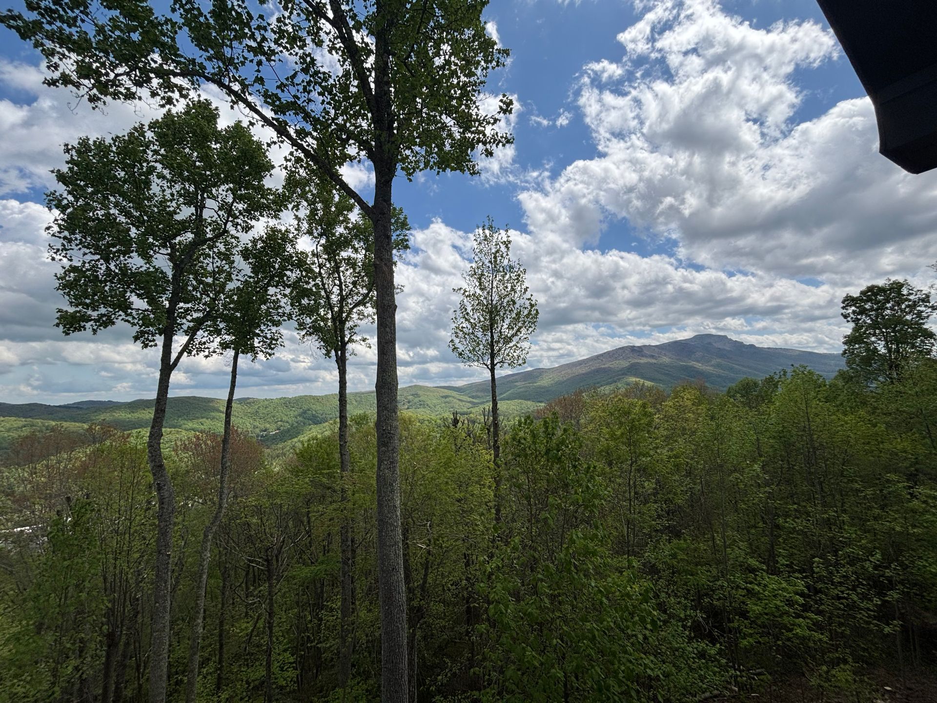 Green forested hills under a cloudy blue sky with a distant mountain in the background