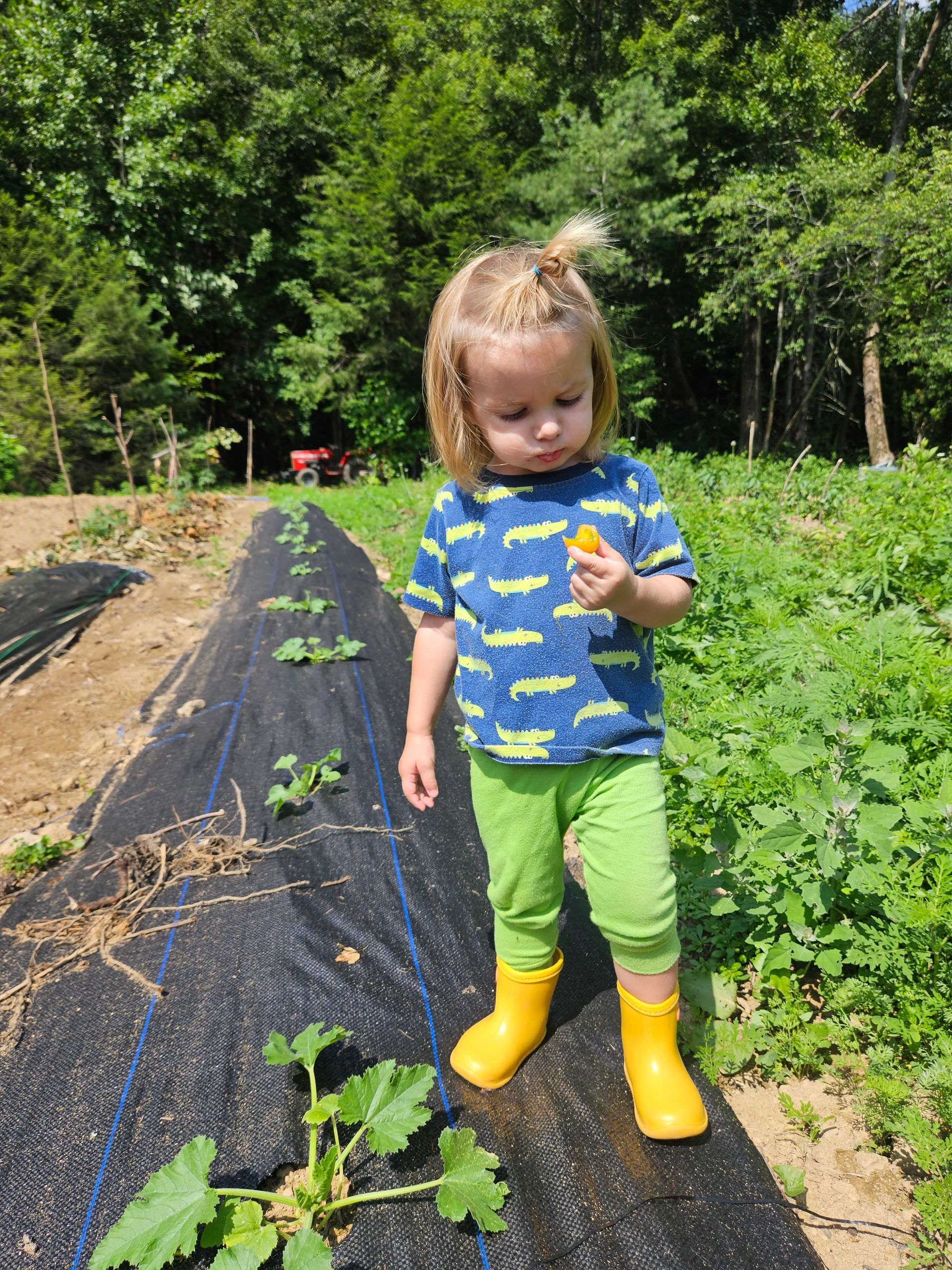 Child in green pants and yellow boots standing in a garden beside young plants, holding a leaf.