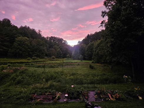 Pink sunset over a grassy clearing bordered by dark trees, with a small campfire in the foreground