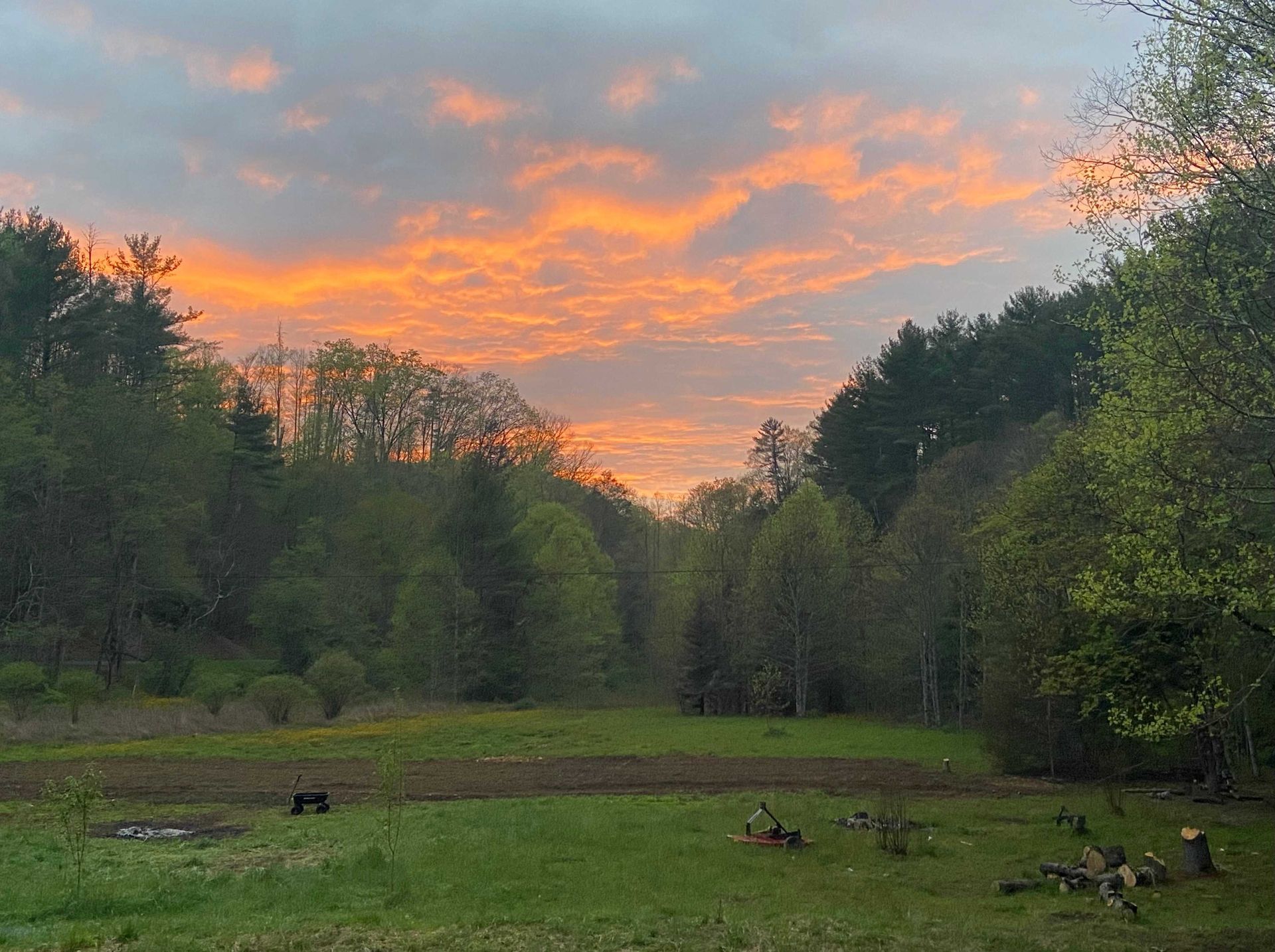 Sunset over a grassy clearing framed by dense trees and glowing orange clouds