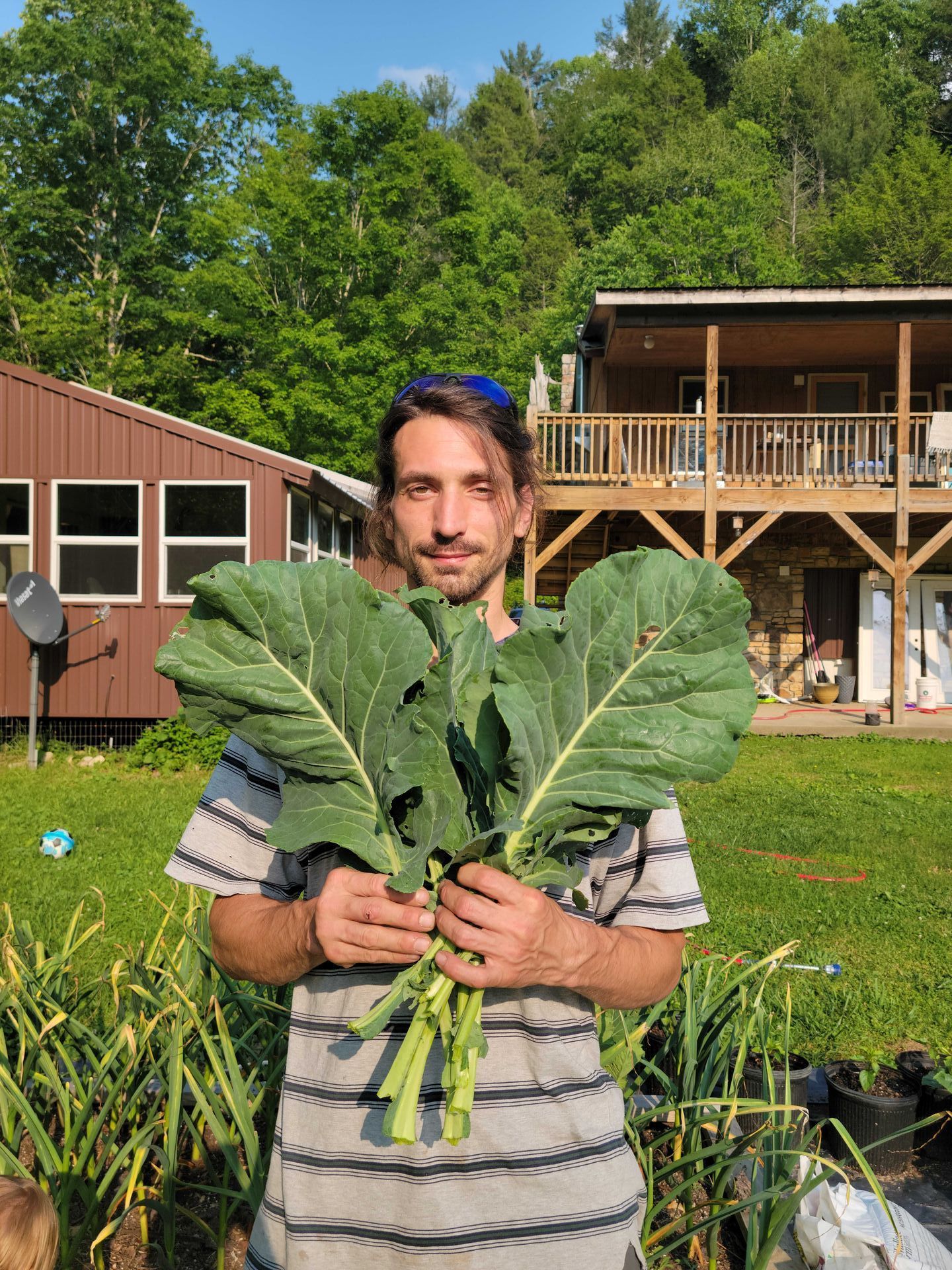 Person holding leafy green vegetables in a garden, with a house and trees in the background.