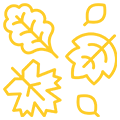 Icona fiori e piante autunnali