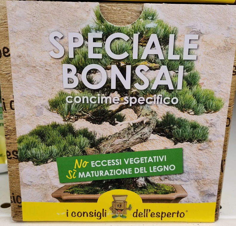 Speciale bonsai Brigadoi Trento