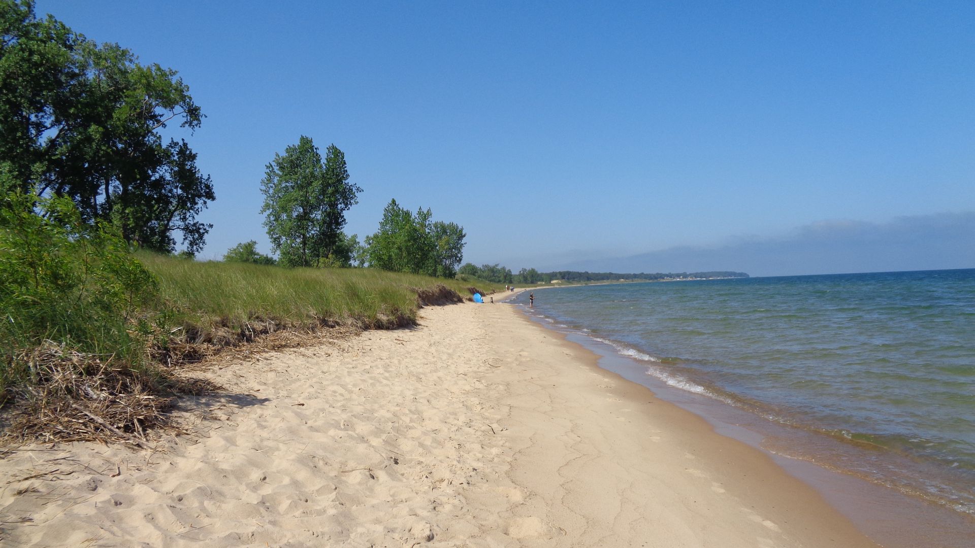 Sandy beach with blue water and sky. Green trees and foliage on the left.