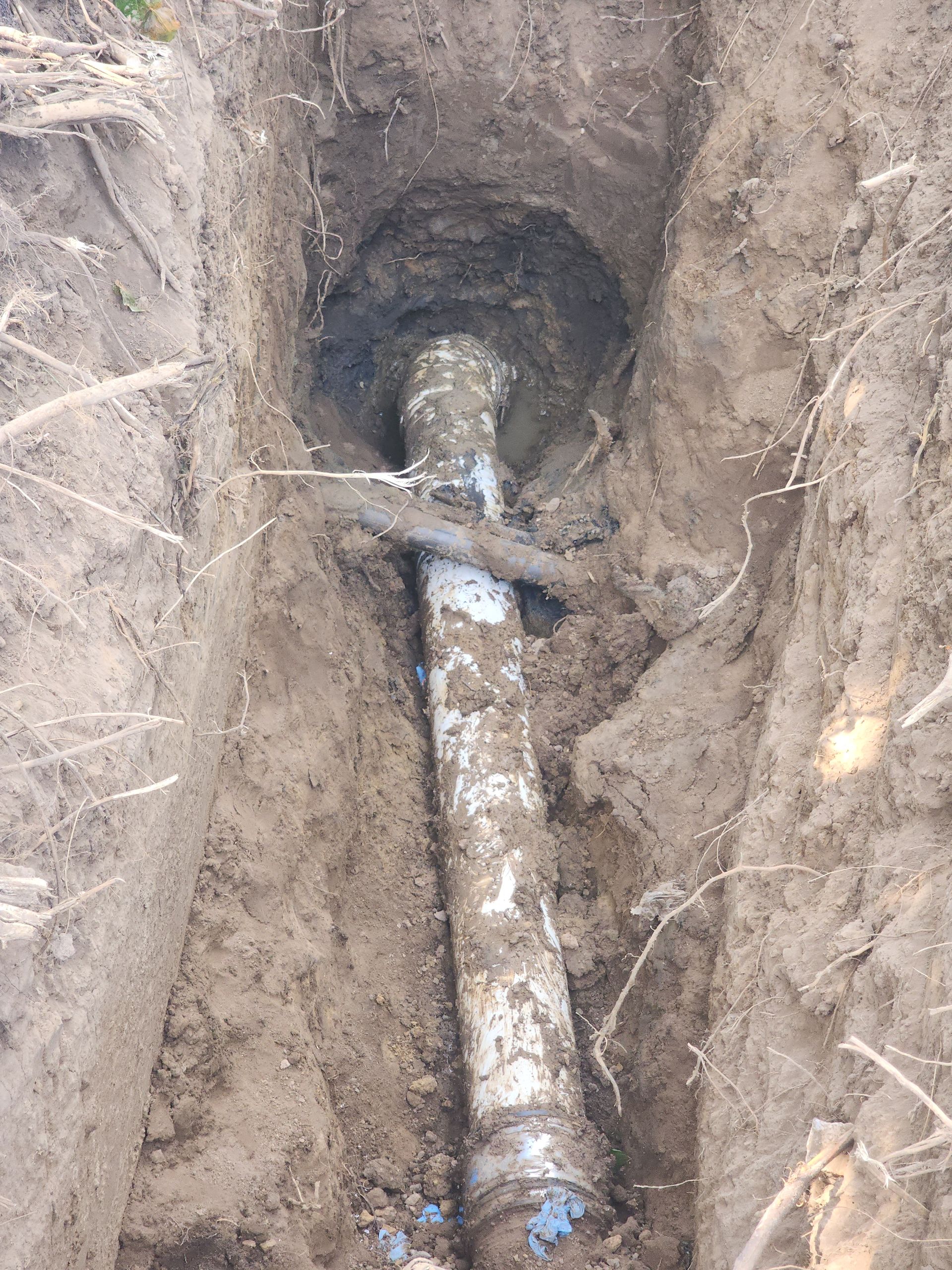 A white pipe segment lies exposed in a narrow, freshly dug dirt trench.