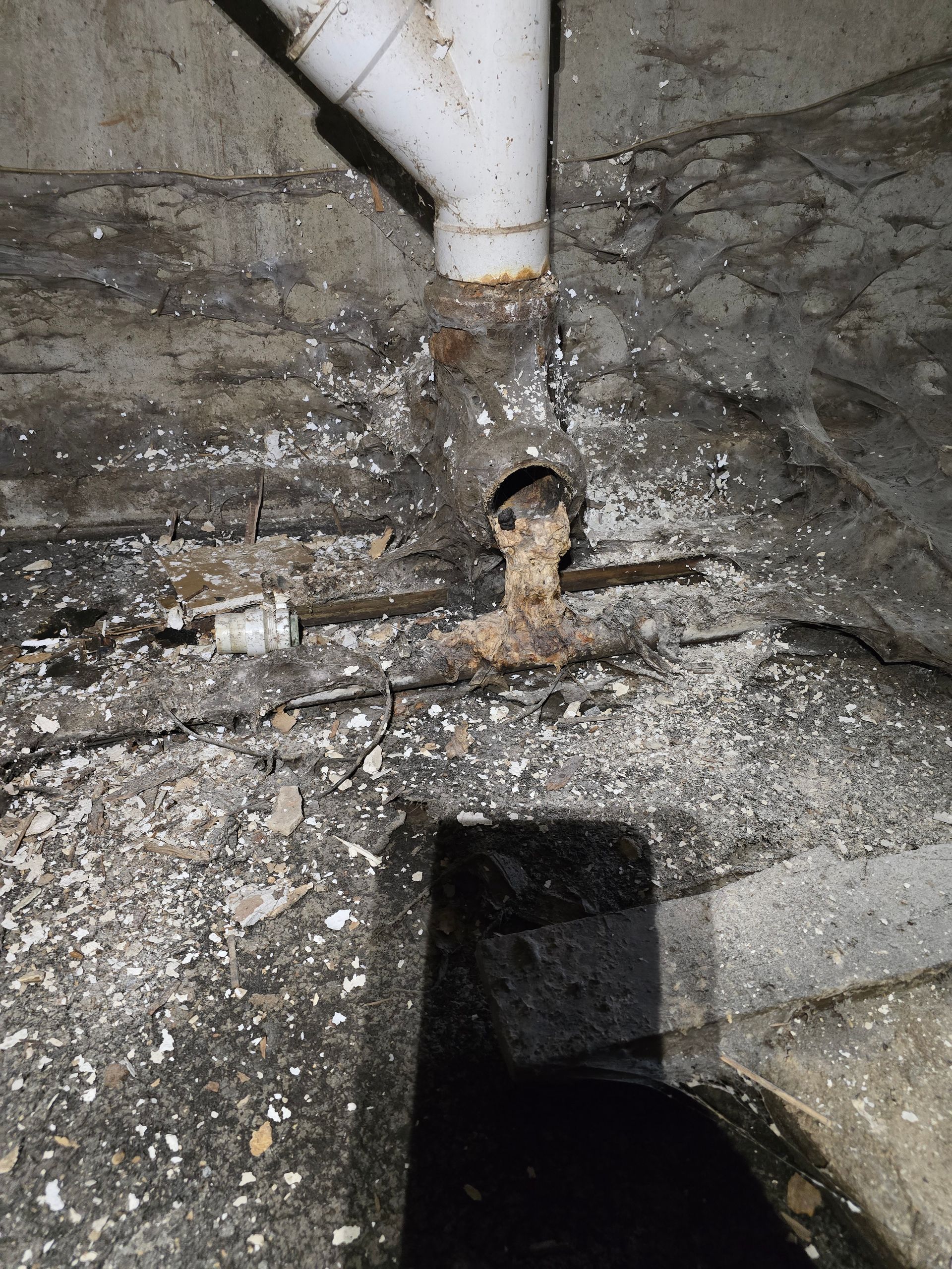 A white drain pipe connected to a vertical pipe, with debris and grey, flaky residue visible around the base on the floor.