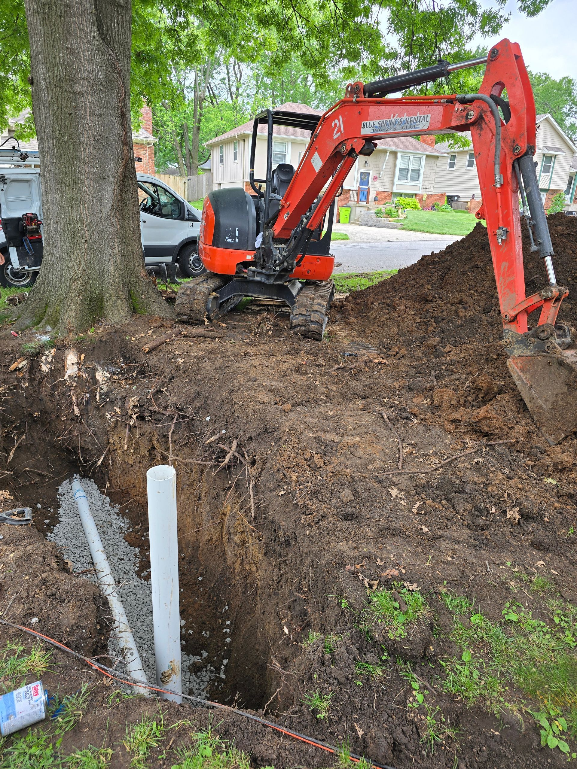 An orange excavator digs a trench next to a large tree, with a white pipe visible in the foreground.
