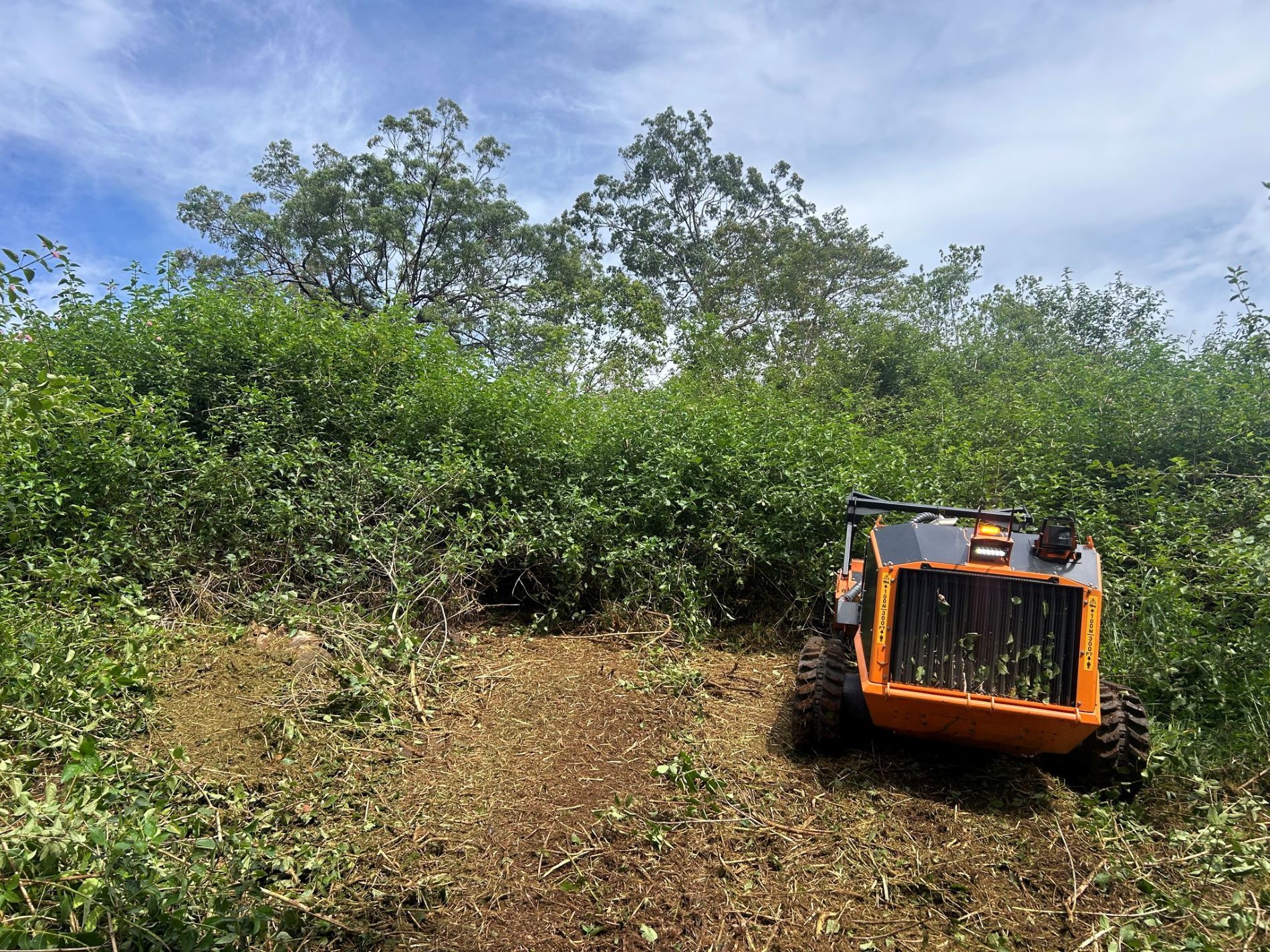 A Bulldozer is Stuck in the Dirt on a Hill — NQ Steep Terrain Mulching and Clearing in The Leap, QLD