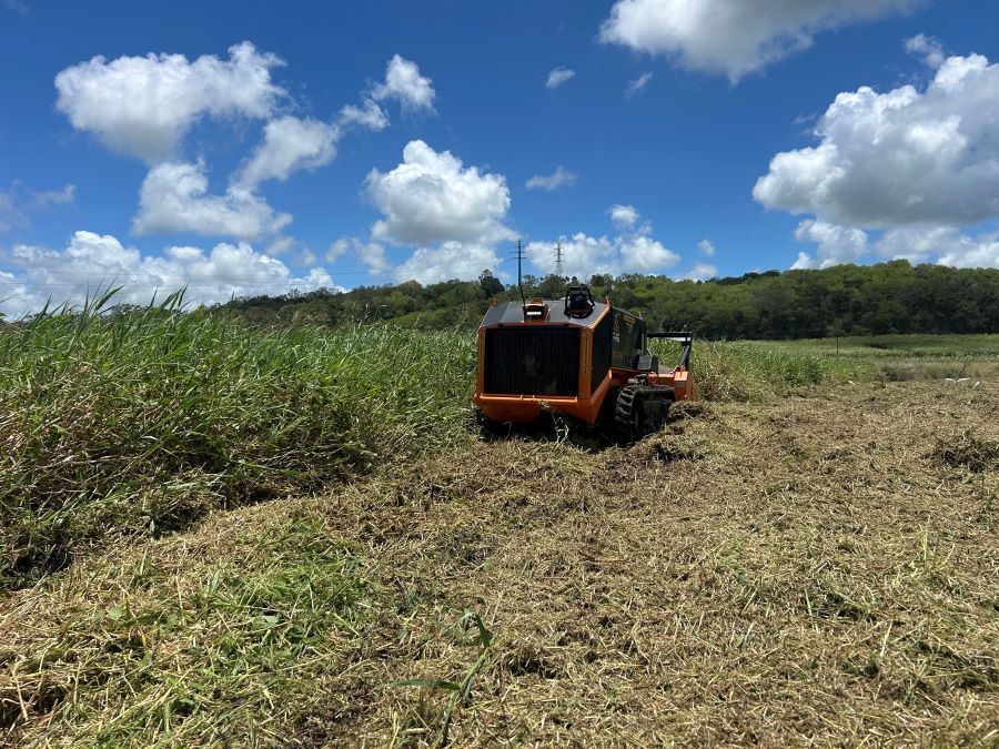A Tractor is Cutting Grass in a Field on a Sunny Day — NQ Steep Terrain Mulching and Clearing in The Leap, QLD