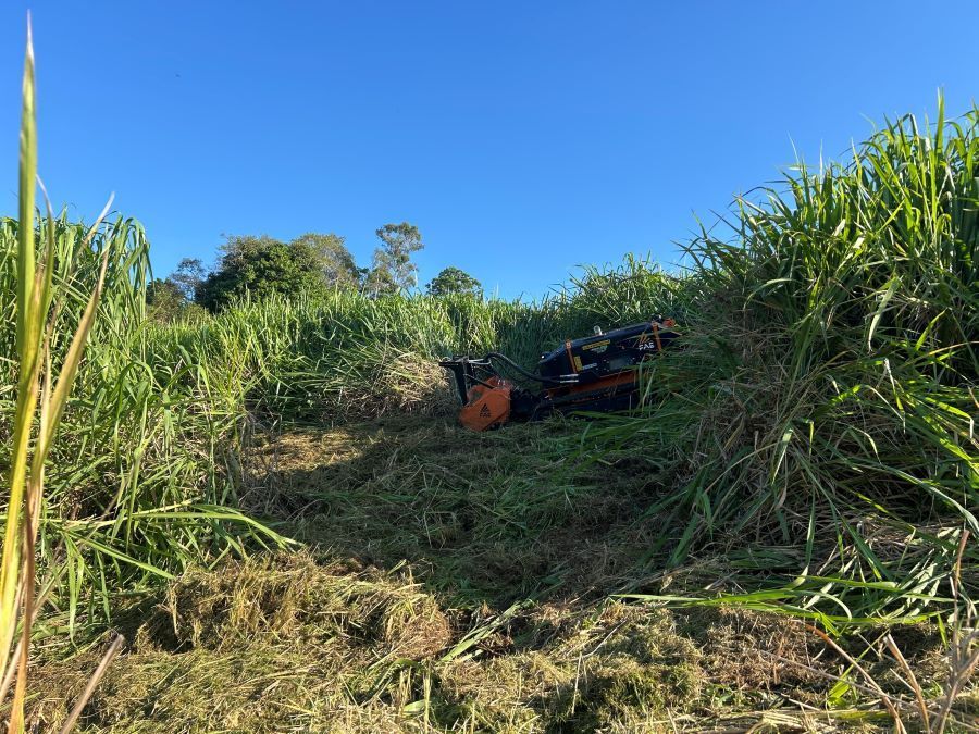 A Lawn Mower is Sitting in the Middle of a Field of Tall Grass — NQ Steep Terrain Mulching and Clearing in The Leap, QLD