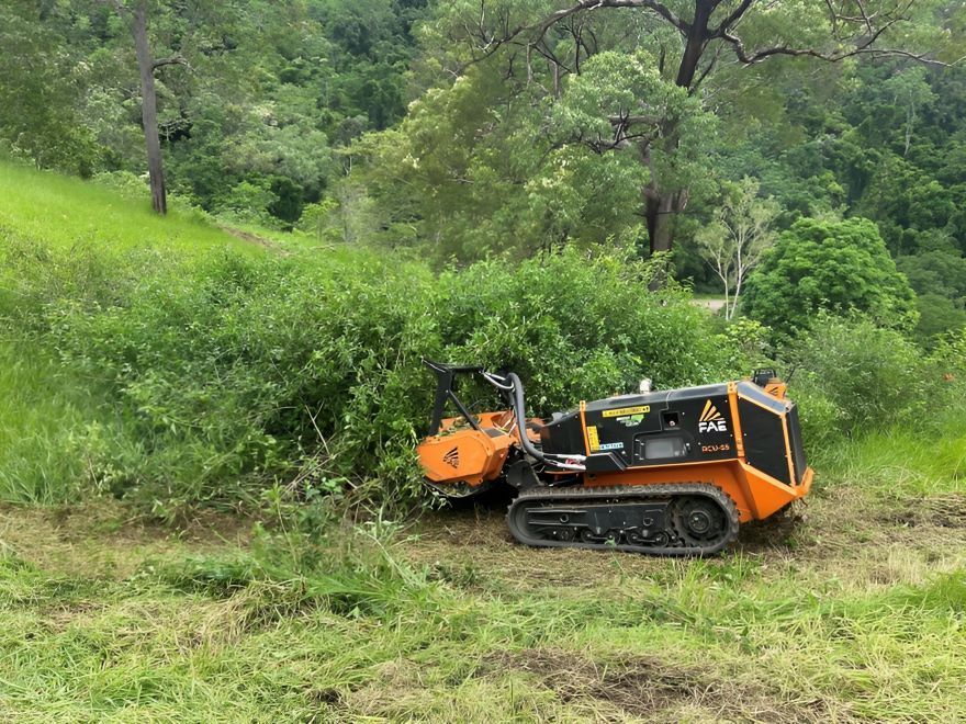 A Small Orange and Black Machine is Cutting Grass in a Field — NQ Steep Terrain Mulching and Clearing in The Leap, QLD