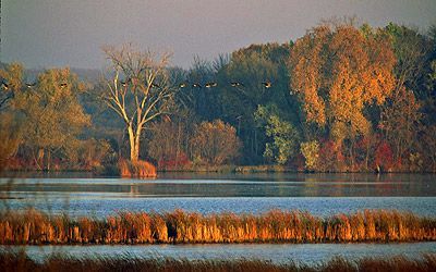 Fall colors at Horicon Marsh in Wisconsin