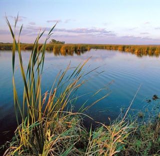 Fall scenery at Horicon Marsh in Wisconsin near Honeybee Inn