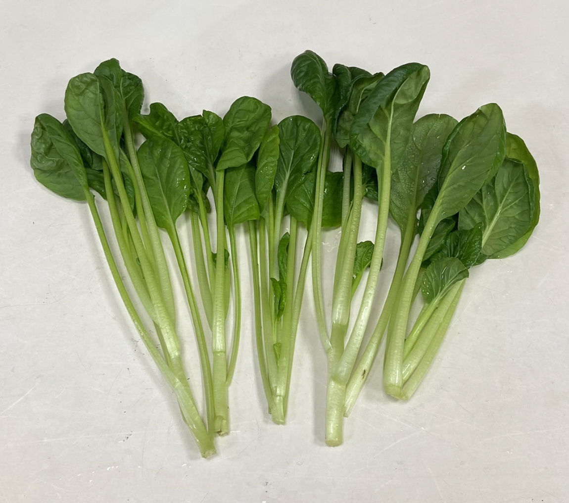 塔菇菜
