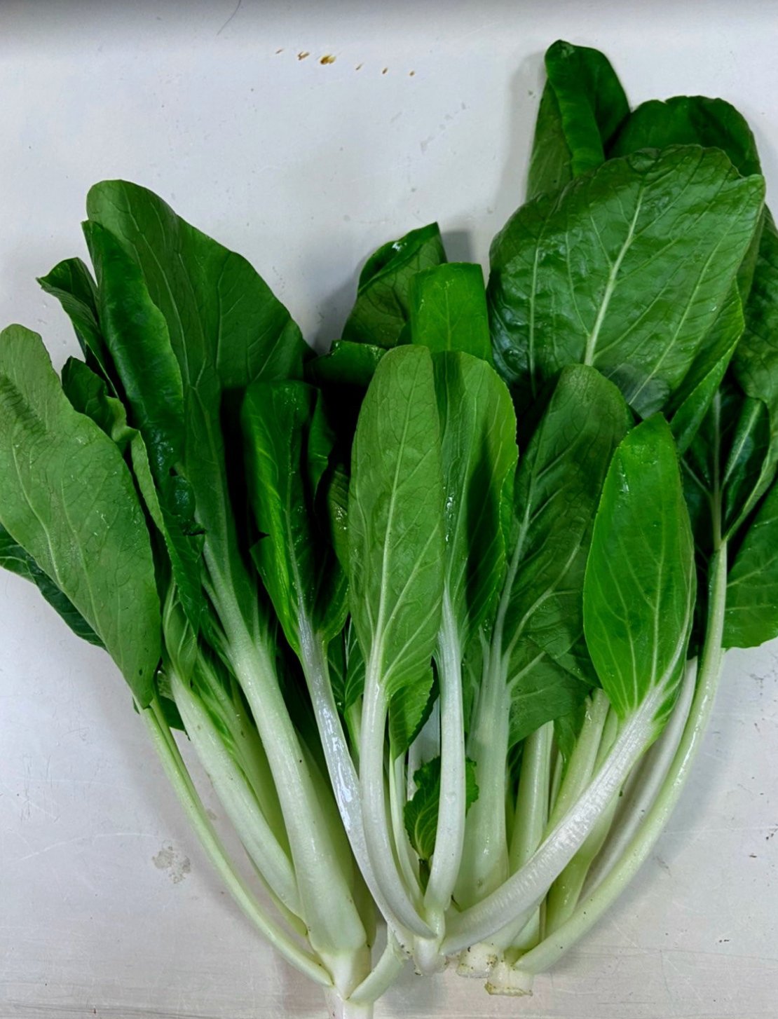 黑葉白菜