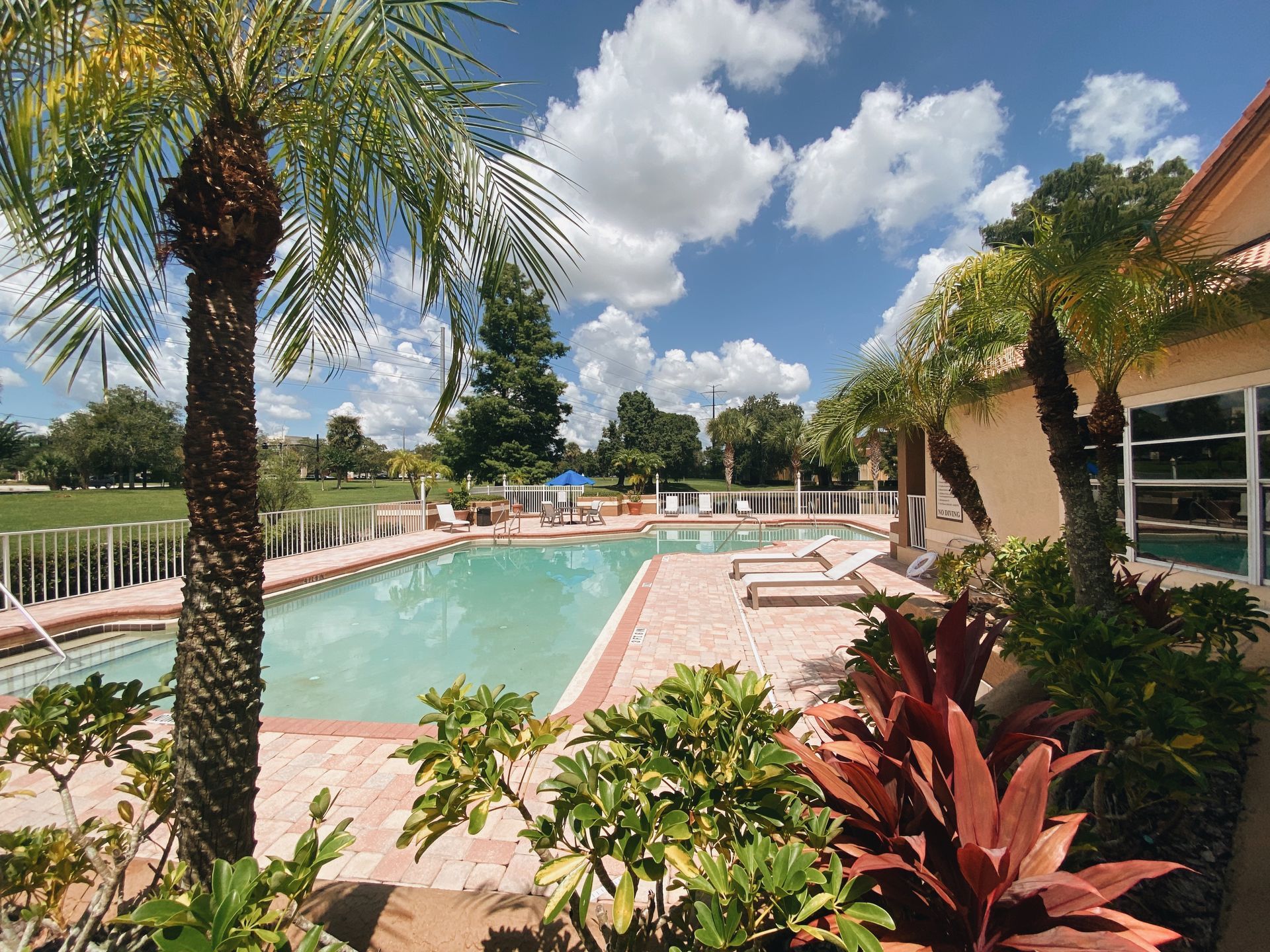 Swimming pool with palm trees, lounge chairs, and building under a blue sky with clouds.