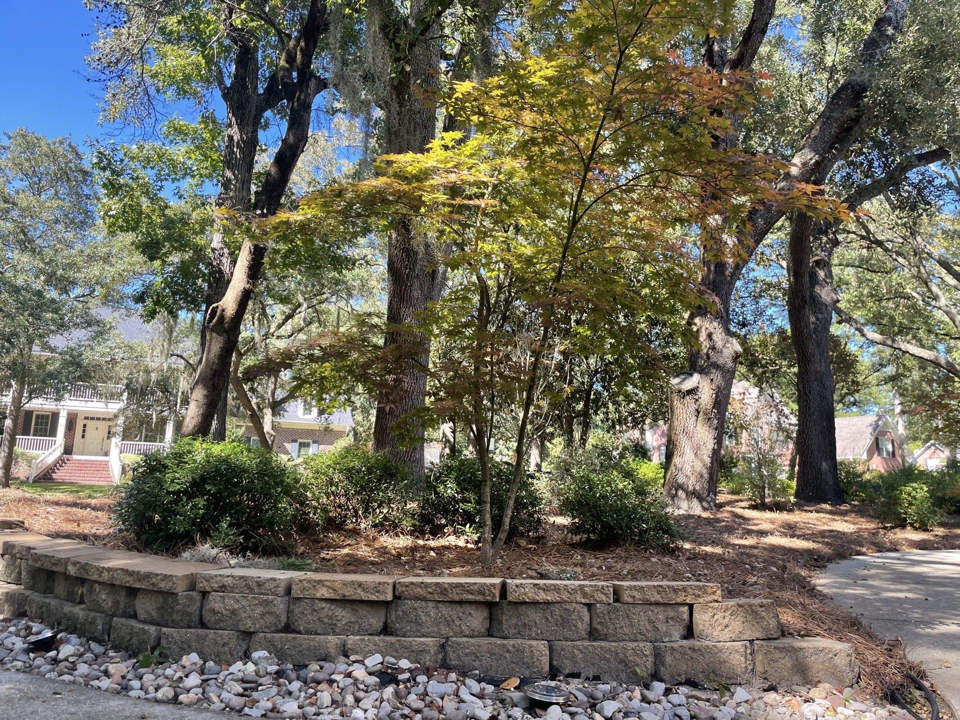 custom landscaping