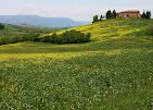 Holiday Tuscany NCC