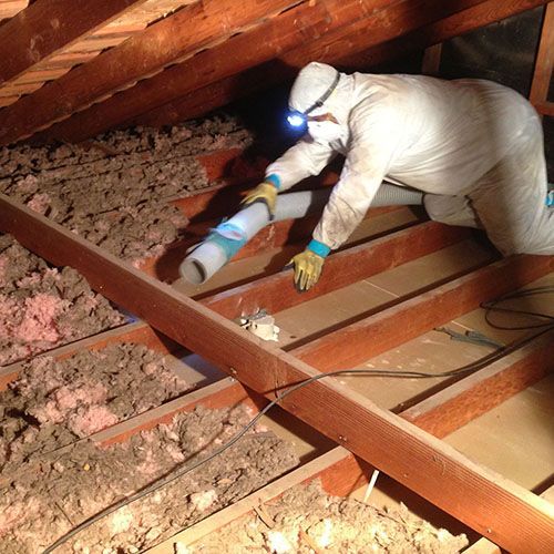 insulation removal hale insulation