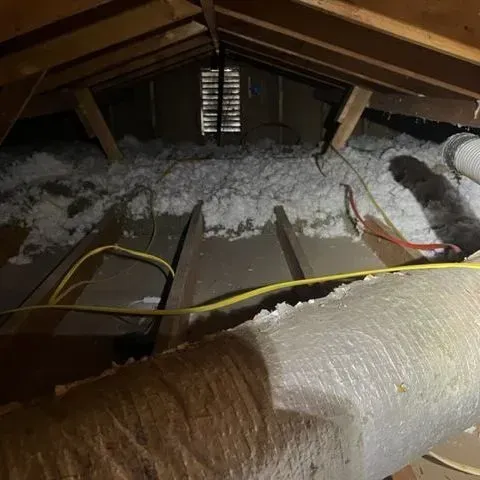 Insulation Removal