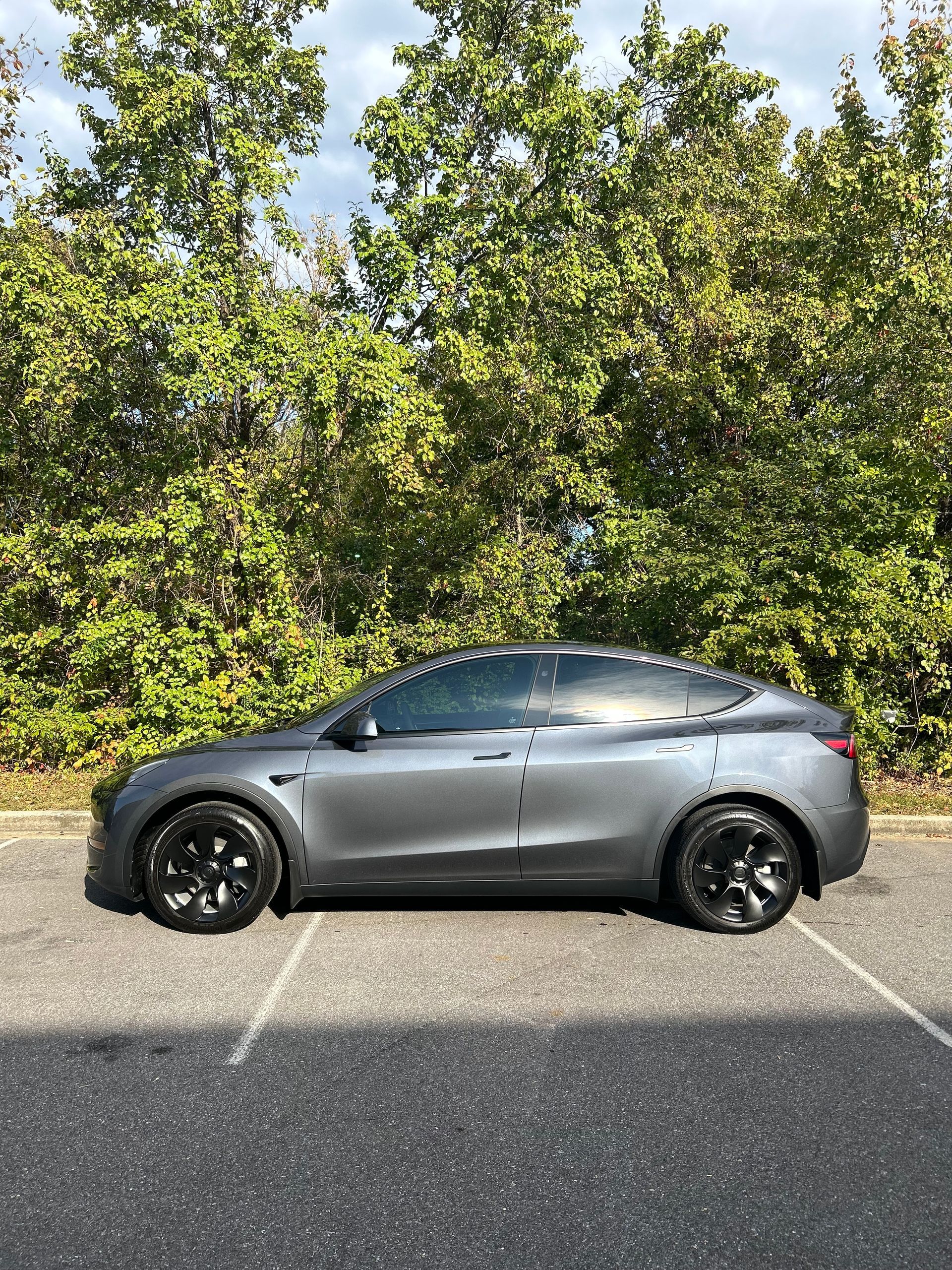 A tesla model y is parked in a parking lot with trees in the background.