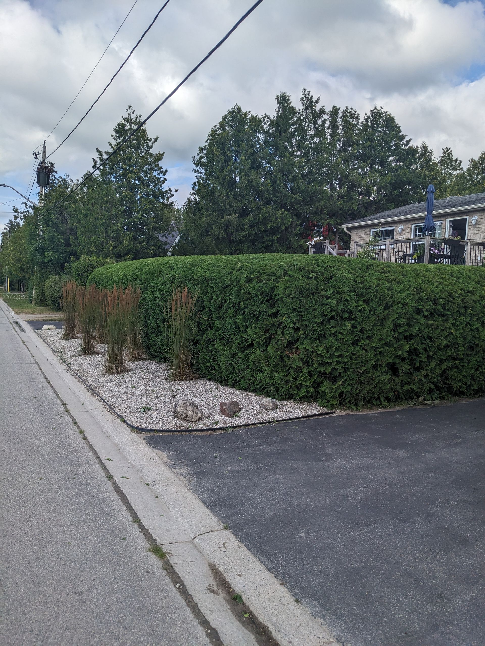 A hedge along the side of a road with a house in the background.