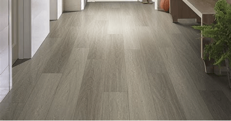 A bright hallway features light gray, wood-look plank flooring with a plant in the foreground.
